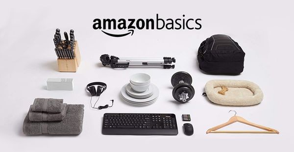 The 10 Best Rated Amazon Basics Products